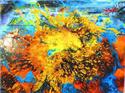 Veranstaltungsbild Actionpainting der Riesenfarbspaß 1